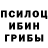 Псилоцибиновые грибы Cubensis PlayStation play