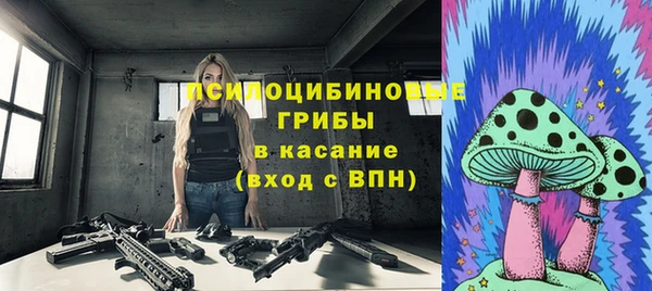 молекула духа Алексеевка