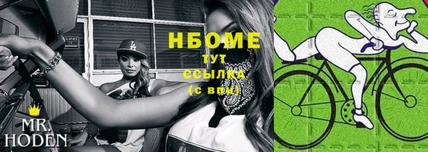 молекула духа Алексеевка