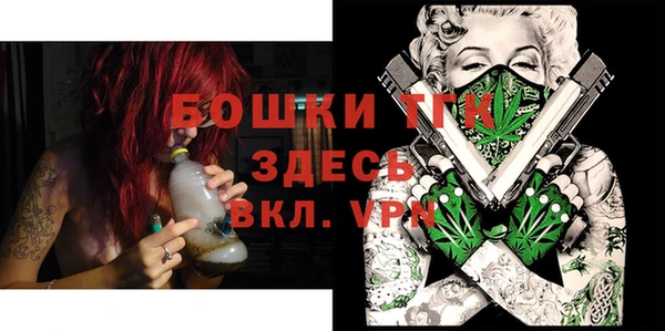 молекула духа Алексеевка