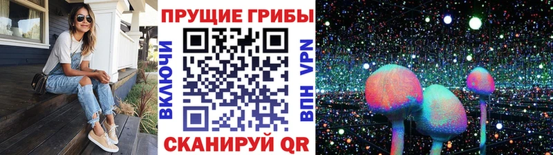 Псилоцибиновые грибы мицелий  дарнет шоп  Магадан 